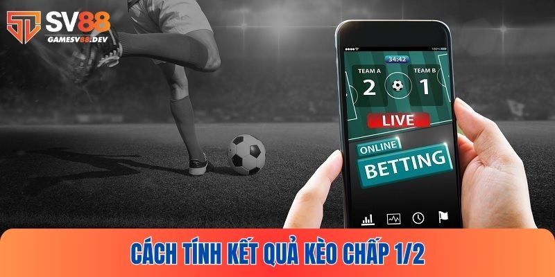 Hướng dẫn cách tính kết quả khi đặt cược chấp 1/2 bóng đá