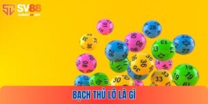 Bạch Thủ Lô Là Gì