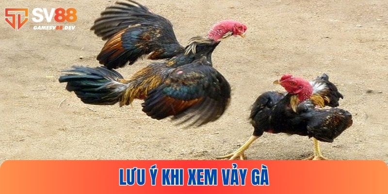 Một vài lưu ý khi xem vảy gà tốt xấu